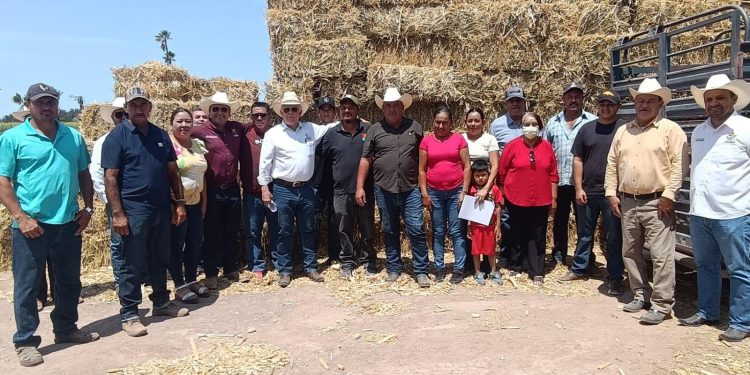 APOYA SEPADA A PRODUCTORES DE COMONDÚ CON ENTREGA DE MAÍZ FORRAJERO