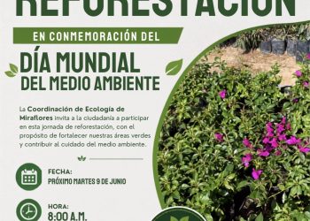 INVITAN A JORNADA DE REFORESTACIÓN EN MIRAFLORES POR EL DÍA MUNDIAL DEL MEDIO AMBIENTE