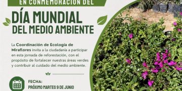 INVITAN A JORNADA DE REFORESTACIÓN EN MIRAFLORES POR EL DÍA MUNDIAL DEL MEDIO AMBIENTE