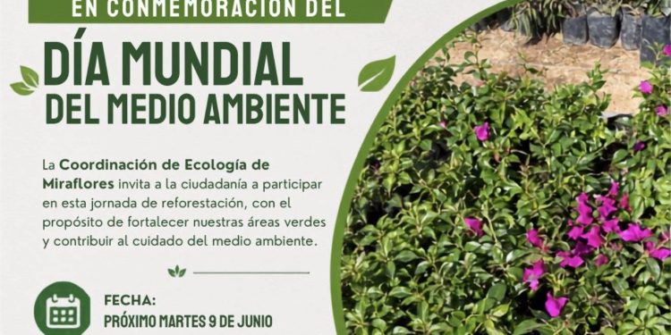 INVITAN A JORNADA DE REFORESTACIÓN EN MIRAFLORES POR EL DÍA MUNDIAL DEL MEDIO AMBIENTE