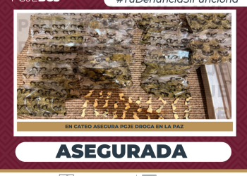 ASEGURA PGJE NARCÓTICOS DURANTE CATEO EN LA COLONIA VALLE DE MEZQUITE EN LA PAZ