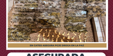 ASEGURA PGJE NARCÓTICOS DURANTE CATEO EN LA COLONIA VALLE DE MEZQUITE EN LA PAZ