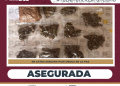 ASEGURA PGJE DROGA DURANTE CATEO EN FRACCIONAMIENTO ALTAVELA EN LA PAZ