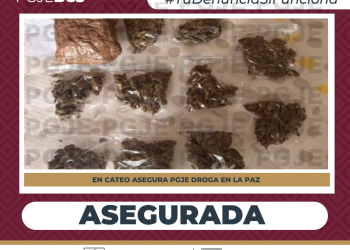 ASEGURA PGJE DROGA DURANTE CATEO EN FRACCIONAMIENTO ALTAVELA EN LA PAZ