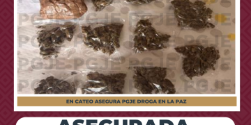 ASEGURA PGJE DROGA DURANTE CATEO EN FRACCIONAMIENTO ALTAVELA EN LA PAZ