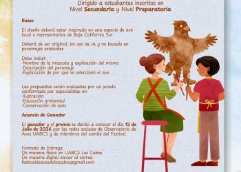 LANZAN CONVOCATORIA EN LOS CABOS PARA ELEGIR A LA MASCOTA OFICIAL DEL FESTIVAL INTERNACIONAL DE LAS AVES