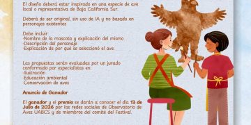 LANZAN CONVOCATORIA EN LOS CABOS PARA ELEGIR A LA MASCOTA OFICIAL DEL FESTIVAL INTERNACIONAL DE LAS AVES