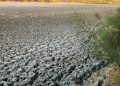 UABCS Y SEPUIMM INVITAN A PARTICIPAR EN TALLERES PARA LA ELABORACIÓN DEL PROGRAMA ESTATAL DE CAMBIO CLIMÁTICO DE BAJA CALIFORNIA SUR