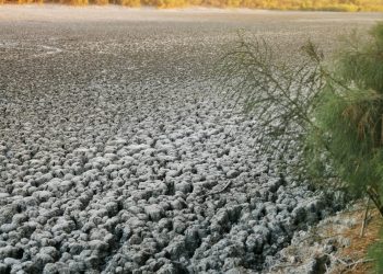 UABCS Y SEPUIMM INVITAN A PARTICIPAR EN TALLERES PARA LA ELABORACIÓN DEL PROGRAMA ESTATAL DE CAMBIO CLIMÁTICO DE BAJA CALIFORNIA SUR