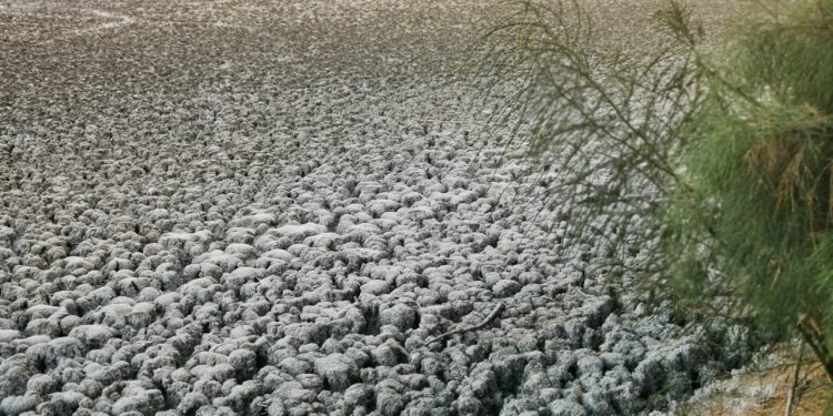 UABCS Y SEPUIMM INVITAN A PARTICIPAR EN TALLERES PARA LA ELABORACIÓN DEL PROGRAMA ESTATAL DE CAMBIO CLIMÁTICO DE BAJA CALIFORNIA SUR