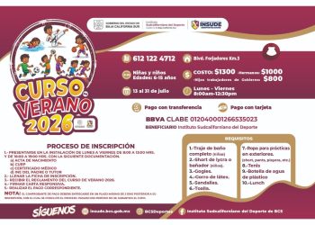INSUDE INVITA A LA NIÑEZ Y ADOLESCENCIA A PARTICIPAR EN EL CURSO DE VERANO 2026
