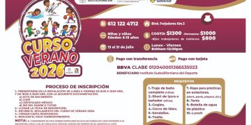 INSUDE INVITA A LA NIÑEZ Y ADOLESCENCIA A PARTICIPAR EN EL CURSO DE VERANO 2026