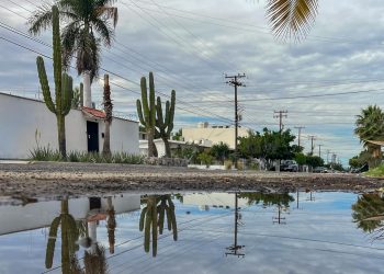 LLAMA IMSS BAJA CALIFORNIA SUR A ELIMINAR CRIADEROS DE MOSQUITOS ANTE TEMPORADA DE LLUVIAS