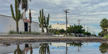 LLAMA IMSS BAJA CALIFORNIA SUR A ELIMINAR CRIADEROS DE MOSQUITOS ANTE TEMPORADA DE LLUVIAS