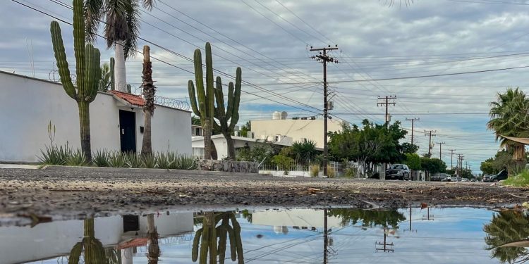 LLAMA IMSS BAJA CALIFORNIA SUR A ELIMINAR CRIADEROS DE MOSQUITOS ANTE TEMPORADA DE LLUVIAS