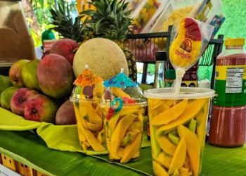 TODOS SANTOS CELEBRA EL SABOR, LA CULTURA Y SUS TRADICIONES CON EL XVII FESTIVAL DEL MANGO