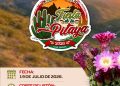 INVITAN A DISFRUTAR LA XXXIV EDICIÓN DE LA FIESTA DE LA PITAYA 2026 EN MIRAFLORES