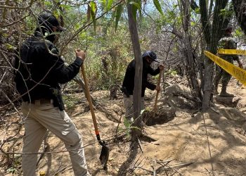 CONCLUYE PGJE PROCESAMIENTO CIENTÍFICO EN SAN JOSÉ DEL CABO SE LOCALIZARON 5 INHUMACIONES CLANDESTINAS DURANTE LA SEMANA