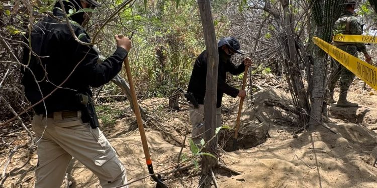 CONCLUYE PGJE PROCESAMIENTO CIENTÍFICO EN SAN JOSÉ DEL CABO SE LOCALIZARON 5 INHUMACIONES CLANDESTINAS DURANTE LA SEMANA