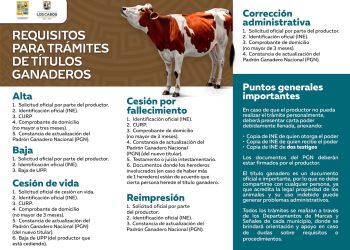 GOBIERNO DE LOS CABOS INFORMA REQUISITOS PARA TRÁMITES DE TÍTULOS GANADEROS 2026