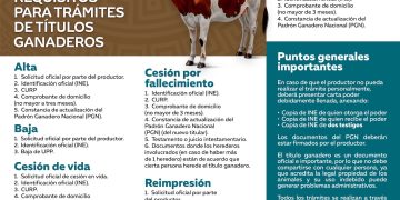 GOBIERNO DE LOS CABOS INFORMA REQUISITOS PARA TRÁMITES DE TÍTULOS GANADEROS 2026