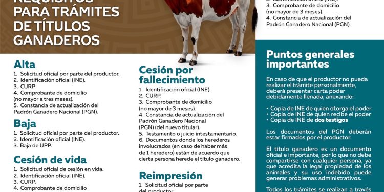 GOBIERNO DE LOS CABOS INFORMA REQUISITOS PARA TRÁMITES DE TÍTULOS GANADEROS 2026