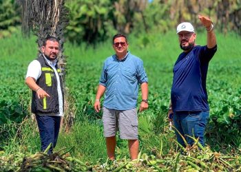 REAFIRMA XV AYUNTAMIENTO COMPROMISO PERMANENTE CON LA PROTECCIÓN DEL ESTERO JOSEFINO