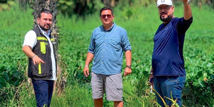 REAFIRMA XV AYUNTAMIENTO COMPROMISO PERMANENTE CON LA PROTECCIÓN DEL ESTERO JOSEFINO