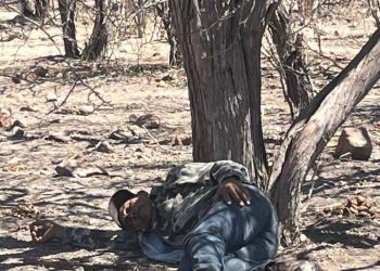 ABCdario