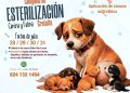 ANUNCIAN CAMPAÑA GRATUITA DE ESTERILIZACIÓN CANINA Y FELINA EN CABO SAN LUCAS