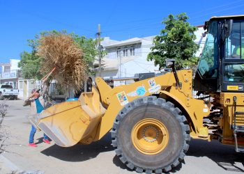    RETIRAN MÁS DE 14 TONELADAS DE CACHARROS EN JORNADA DE LIMPIEZA EN ARCOS DEL SOL, EN CABO SAN LUCAS