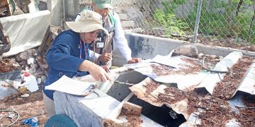 SALUD ESTATAL MANTIENE ACCIONES DE  VIGILANCIA Y CONTROL DEL DENGUE