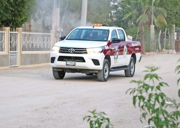 INICIA SALUD ESTATAL JORNADAS DE FUMIGACIÓN CONTRA EL DENGUE EN LA PAZ Y LOS CABOS