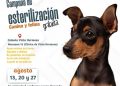 ANUNCIAN CAMPAÑA DE ESTERILIZACIÓN GRATUITA PARA PERROS Y GATOS EN SAN JOSÉ DEL CABO