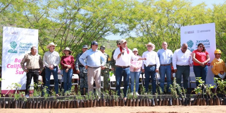 BCS SE SUMA A JORNADA NACIONAL DE REFORESTACIÓN PARA FORTALECER LA CONSERVACIÓN AMBIENTAL