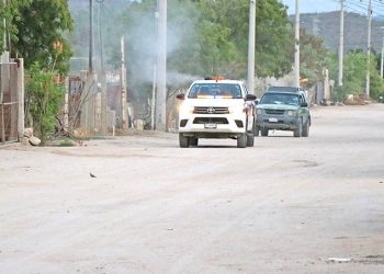 MÁS DE 4MIL 700 HECTÁREAS ATENDIDAS CONTRA EL DENGUE EN LA PAZ Y LOS CABOS