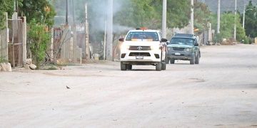 MÁS DE 4MIL 700 HECTÁREAS ATENDIDAS CONTRA EL DENGUE EN LA PAZ Y LOS CABOS