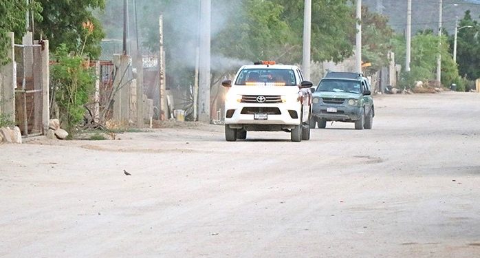 MÁS DE 4MIL 700 HECTÁREAS ATENDIDAS CONTRA EL DENGUE EN LA PAZ Y LOS CABOS