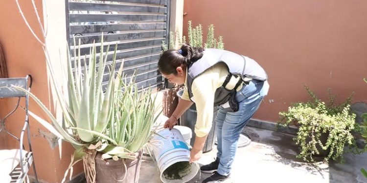 SALUD ESTATAL LLAMA A REFORZAR SANEAMIENTO DE VIVIENDAS TRAS LAS LLUVIAS