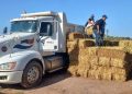 BENEFICIA SEPADA A PRODUCTORES DE COMONDÚ CON 600 PACAS DE SORGO FORRAJERO