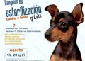 CONTINÚAN ESTERILIZACIONES GRATUITAS PARA PERROS Y GATOS EN COLONIA VISTA HERMOSA