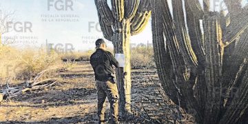 OBTIENE FGR VINCULACIÓN A PROCESO CONTRA TRES PERSONAS POR DELITO AMBIENTAL EN BAJA CALIFORNIA SUR