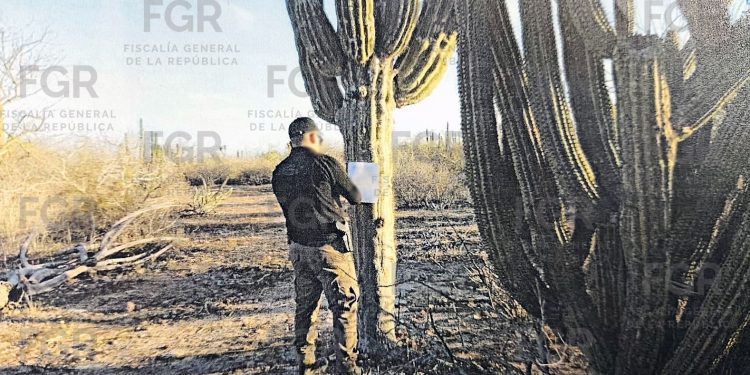 OBTIENE FGR VINCULACIÓN A PROCESO CONTRA TRES PERSONAS POR DELITO AMBIENTAL EN BAJA CALIFORNIA SUR