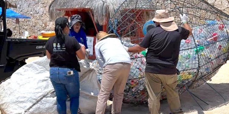 RETIRA ZOFEMAT LOS CABOS 125 KILOS DE PET PARA RECICLAJE EN PLAYA EL CHILENO