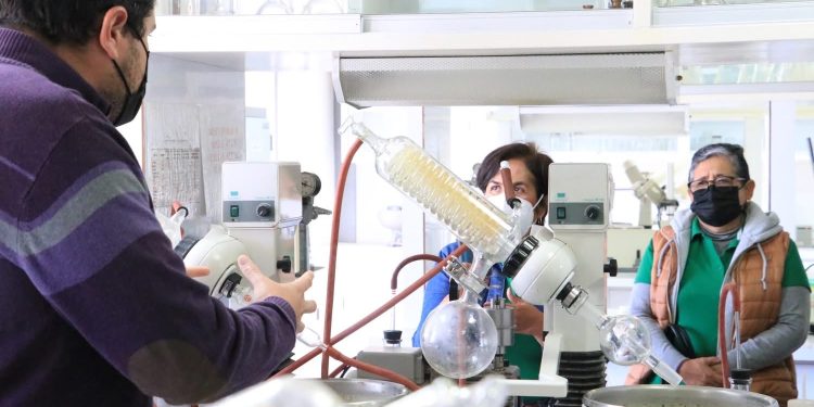 UABCS SUMA 32 NUEVOS RESULTADOS FAVORABLES EN LA CONVOCATORIA 2026 DEL SISTEMA NACIONAL DE INVESTIGADORAS E INVESTIGADORES