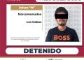 CUMPLIMENTA PGJE ORDEN DE CATEO EN SAN JOSÉ DEL CABO DETIENE A UNA PERSONA Y ASEGURA DROGA Y UN VEHÍCULO