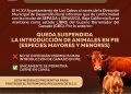 SUSPENDEN INGRESO DE GANADO EN PIE A LOS CABOS PARA PROTEGER ESTATUS SANITARIO