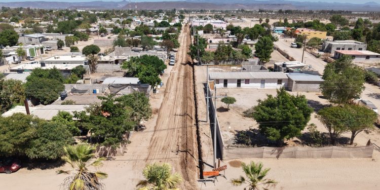 TERCERA FERIA DEL DÁTIL DESTACA LA ACTIVIDAD PRODUCTIVA DE MULEGÉ