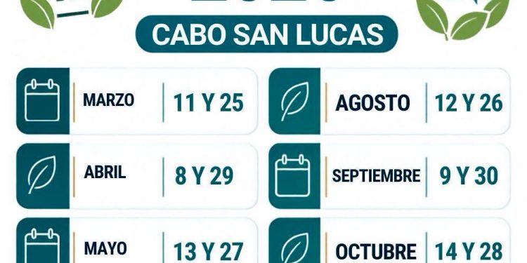 GOBIERNO DE LOS CABOS REALIZA CAMPAÑA MENSUAL DE ACOPIO PARA FOMENTAR EL RECICLAJE