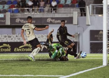 Borrador automático